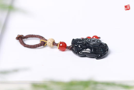 彩虹眼黑曜石龙龟挂饰 商品图4