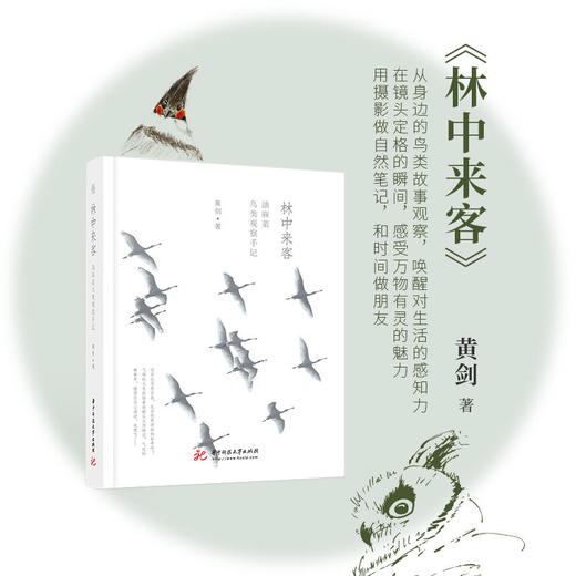 《林中来客》鸟类观察手记 油麻菜 商品图0