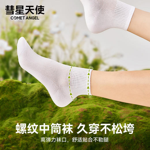 62%棉男女中筒袜礼盒装透气吸汗精梳棉无骨缝制A-3524 商品图3