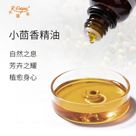 小茴香精油/孜然芹 奥地利精油原料批发芳疗护理调香 大篷车精油 商品图1