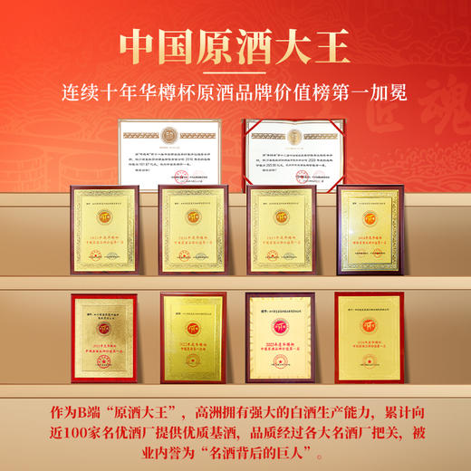 高洲原酒王6/9/2浓香型42度/52度白酒纯粮酿造 商品图2