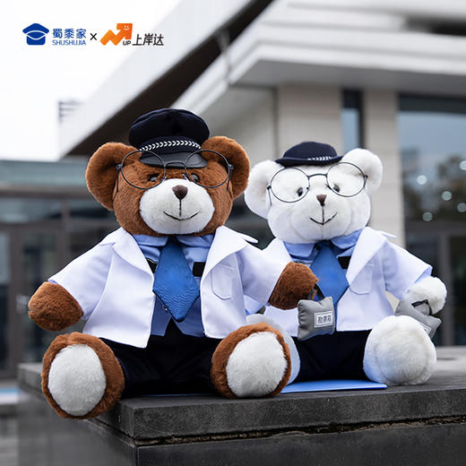 【法医大白大壮】可定制创意毛绒职业小熊公仔儿童玩具服装可脱送礼礼物 商品图8