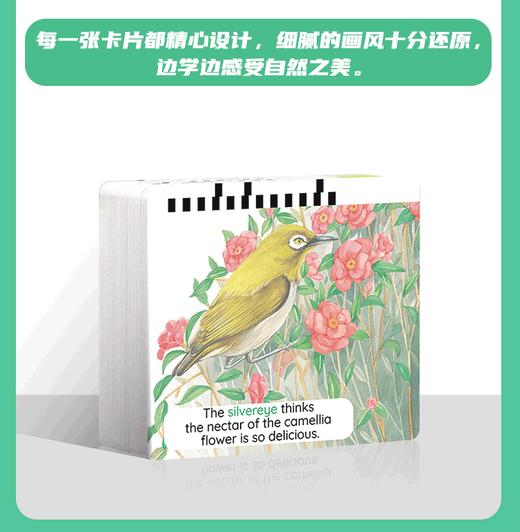 【盖世童书】福利品超值特惠儿童读物精选 宾果儿童自然科学单词卡（100张）/小雀斑一家双语认知-单词卡（120张）/Brown Bear/文件袋（4个） 商品图1