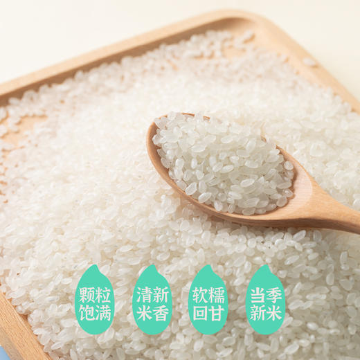 袁谷东北有机大米5kg当季新米一年一季圆粒粳米有机认证10斤装 商品图2