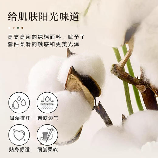 罗孚 简•梦境花园全棉四件套 40S 粉色 商品图5