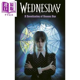 【中商原版】星期三 第一季小说版 Wednesday A Novelization of Season One 英文原版 Tehlor Kay Mejia 悬疑小说