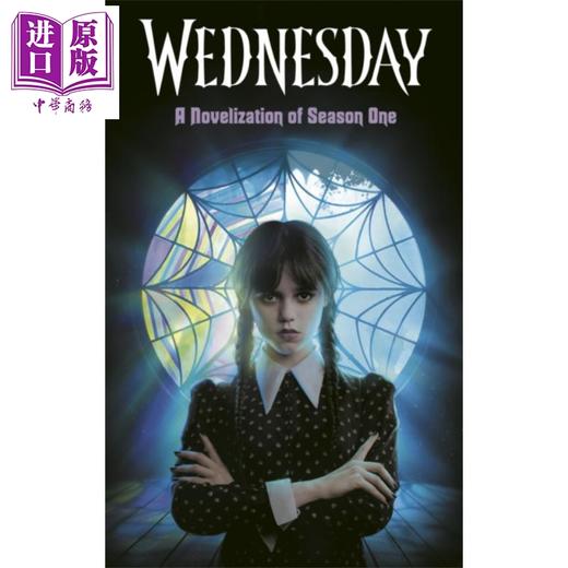 【中商原版】星期三 第一季小说版 Wednesday A Novelization of Season One 英文原版 Tehlor Kay Mejia 悬疑小说 商品图0
