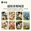 华畜发酵床菌剂养鸡养猪发酵床阳台鸭鹅牛羊蛇用发酵免激活EM菌种 商品缩略图1
