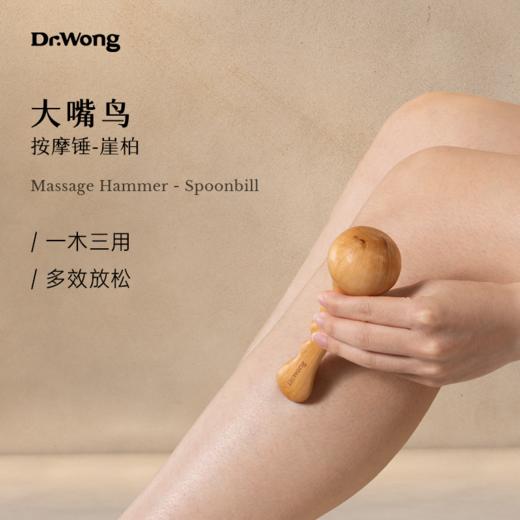 「大嘴鸟」按摩锤-崖柏款 商品图0