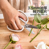 摩登主妇花艺园艺剪刀剪花修枝专用花卉剪鲜花盆栽花店插花用剪子 商品缩略图2