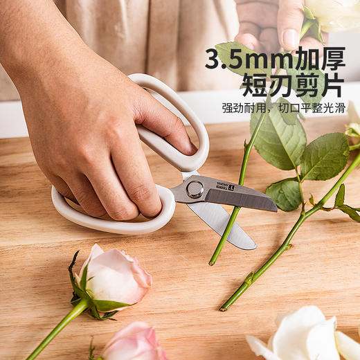 摩登主妇花艺园艺剪刀剪花修枝专用花卉剪鲜花盆栽花店插花用剪子 商品图2