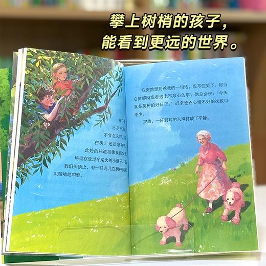 守住大树的秘密 商品图1