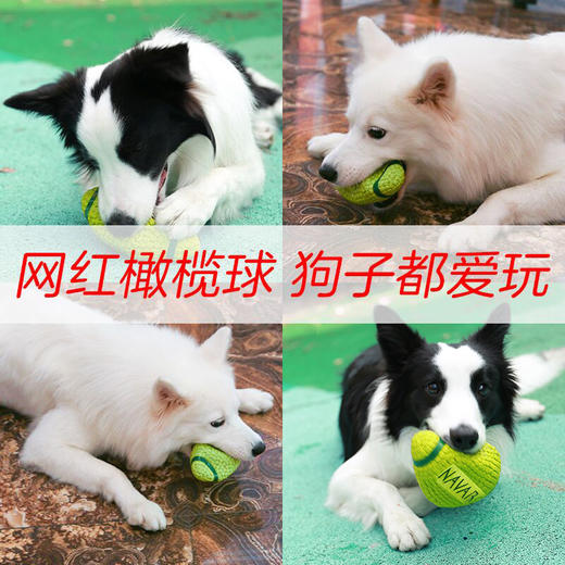 耐威克狗狗玩具｜发声球｜泰迪法斗金毛大小型犬｜磨牙耐咬｜幼犬宠物用品 商品图4