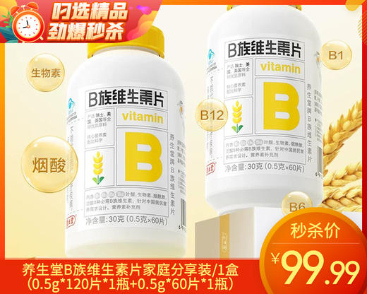 【叼健康】养生堂B族维生素片家庭分享装/1盒（0.5g*120片*1瓶+0.5g*60片*1瓶）生产日期：25年5月 商品图0