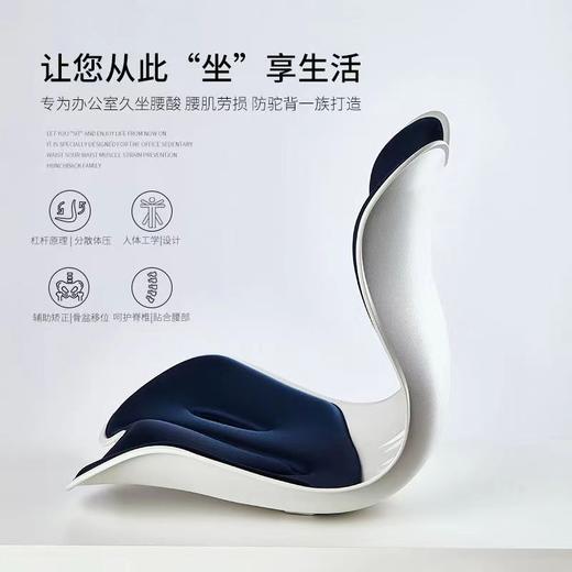 ⁴两个减5元 【思菲其儿童成人护腰花瓣正姿矫正器】让腰舒服点 YC04-CRMM-LSMY 商品图0