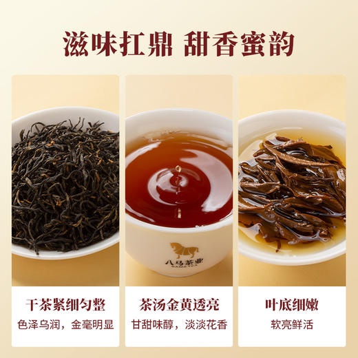 八马茶业 | 鼎红1000 金骏眉正山小种单罐48g 商品图8