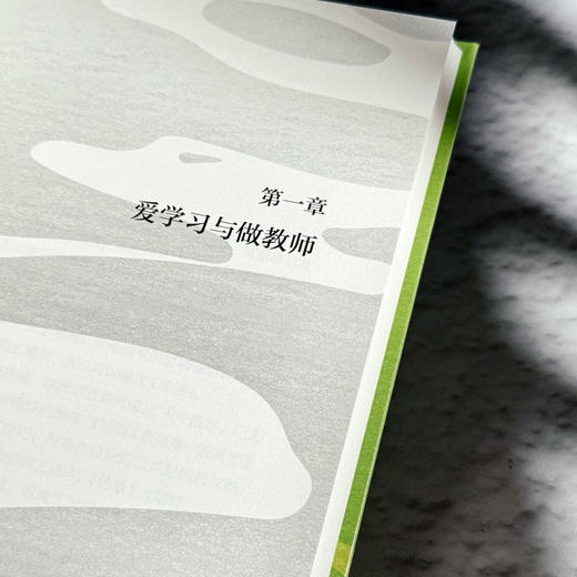 孔子的教师生涯 大夏书系 周勇 与大师同行 教师教育 商品图8