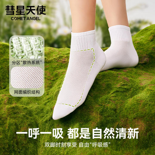 62%棉男女中筒袜礼盒装透气吸汗精梳棉无骨缝制A-3524 商品图2