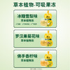 【济公草本植物冻】 遗传承品牌 广东老字号 草本植萃+奇亚籽 果冻界的“去火侠”❗ 商品缩略图3