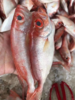 & 深海红目鲢 🐟肉质鲜嫩少刺，清蒸，香煎都👌以味道美味而著称 商品缩略图1