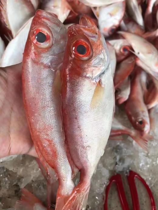 & 深海红目鲢 🐟肉质鲜嫩少刺，清蒸，香煎都👌以味道美味而著称 商品图1