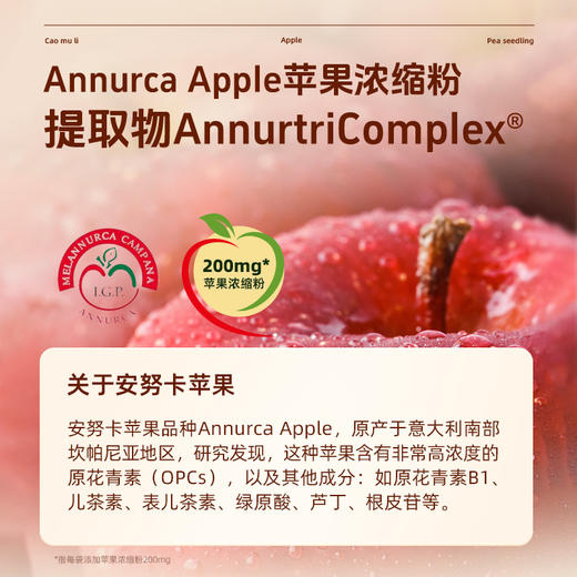 【自然植萃配方】草牧里 苹果豌豆苗固体饮料 1.5g*15条/盒 多重营养层层深补 商品图3