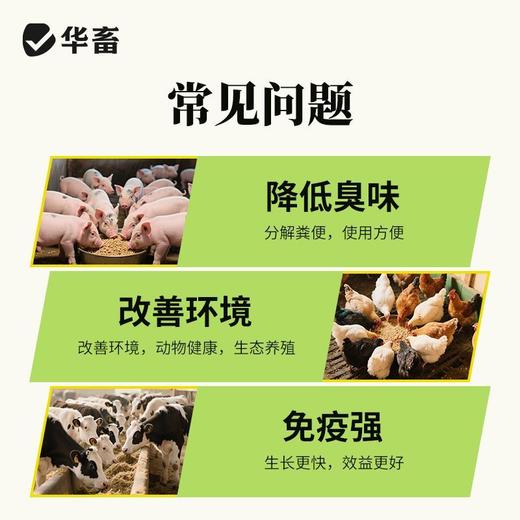 华畜发酵床菌剂养鸡养猪发酵床阳台鸭鹅牛羊蛇用发酵免激活EM菌种 商品图2