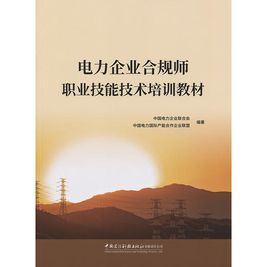 电力企业合规师职业技能技术培训教材 商品图3