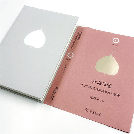 沙海浮图：中古时期西域南道佛典与图像(日新文库) 商品图5