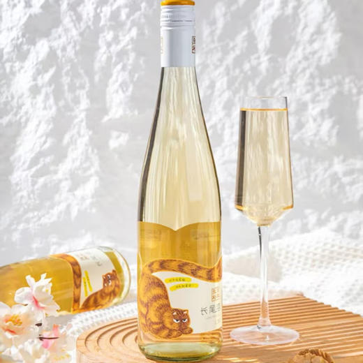 【盖子退十元】张裕长尾猫半甜白葡萄酒 750ml 11.0%vol 商品图1