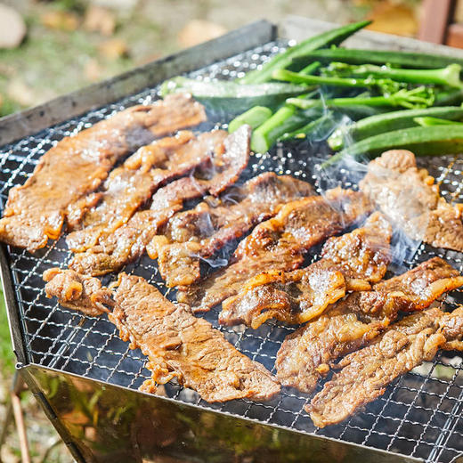 MM 山姆 盐烧雪花小排 450g 商品图5