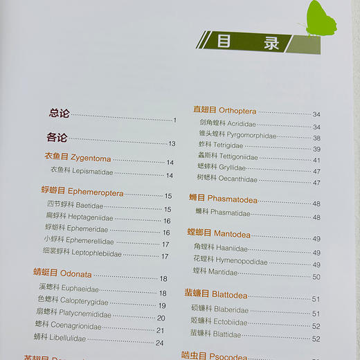 乌蒙山常见昆虫生态图鉴 商品图4