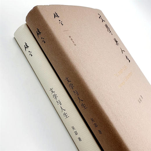 文学与人生(碎金文丛) 商品图4