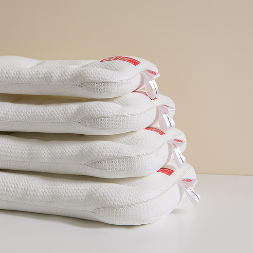 【品牌直发】加倍生活 新款A类LAINSTON分段睡眠枕 超细羽丝填充枕头 宝宝枕 柔软亲肤枕芯  双面舒适 加倍柔软 可水洗 商品图5