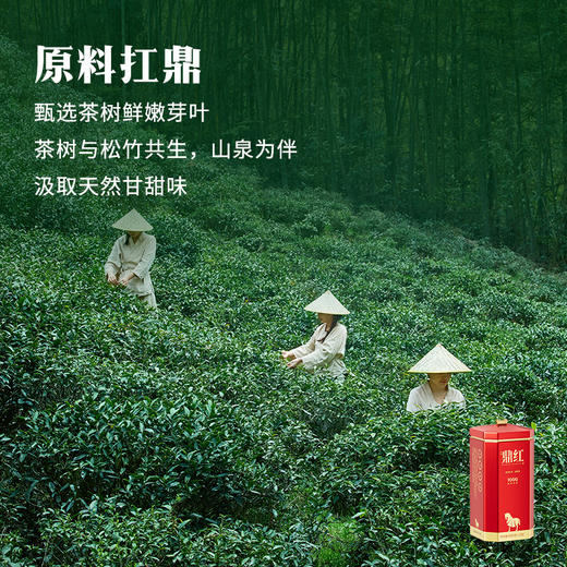 八马茶业 | 鼎红1000 金骏眉正山小种单罐48g 商品图6