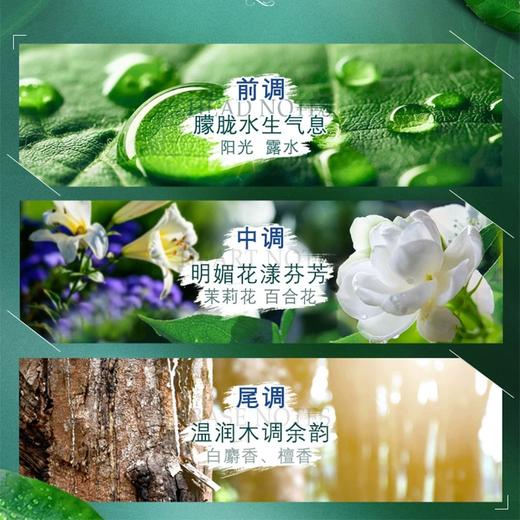 『得宝Tempo』手帕纸4层36小包 便携式手帕纸（茉莉花味）（新旧包装随机发货） 商品图3