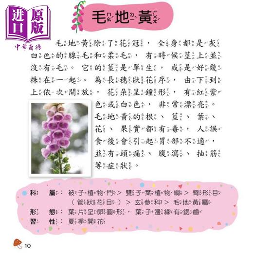 【中商原版】植物小百科 港台原版 儿童科普绘本 少儿百科知识图书 童书 精装 6岁以上 幼福出版 全彩读物 各种植物全幅彩图书 商品图1