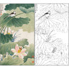 谢稚柳花鸟工笔画白描底稿《莲塘清晓》临摹勾线高清打印稿XZ14 商品缩略图0