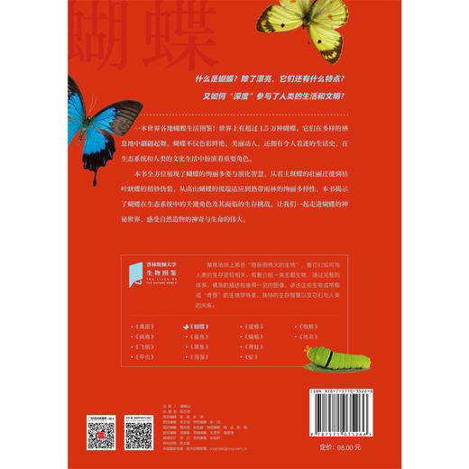 蝴蝶 | 一本世界各地蝴蝶生活图鉴，全方位展现了蝴蝶的绚丽多姿与演化智慧 商品图2