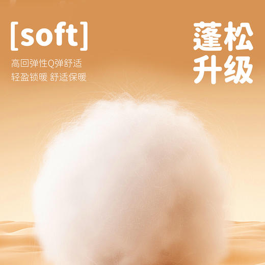 迪士尼运动夹棉长裤米奇潮酷男童夹棉冬款长裤ZD4EK007 商品图7