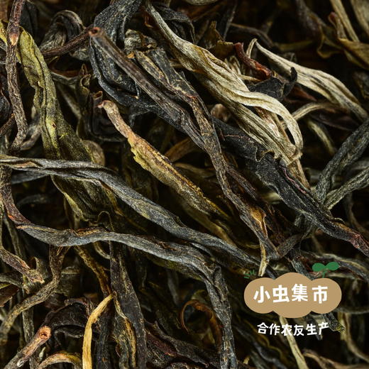 云南大叶种古树茶（红茶/白茶/普洱生茶）| 合作农友生产，来自云南，生产方：如茶茶坊 *【公平贸易农人定价】 商品图7