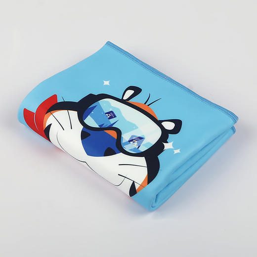 家乐氏毛巾 商品图2