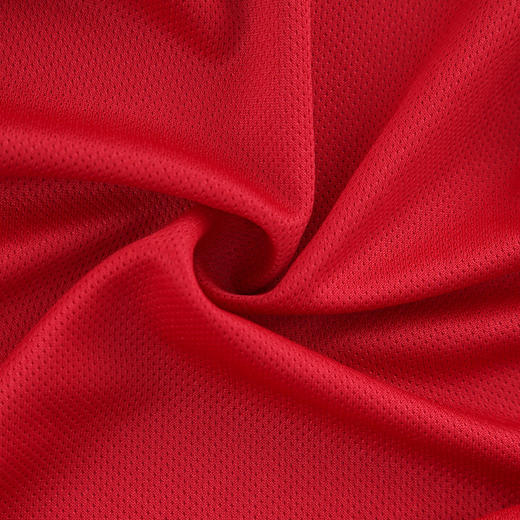 小李子:ADIDAS阿迪达斯25/26赛季利物浦球迷版主场短袖球衣JV6423 商品图2