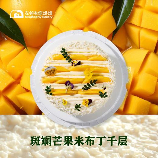 斑斓芒果米布丁千层 商品图1