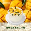 斑斓芒果米布丁千层 商品缩略图0