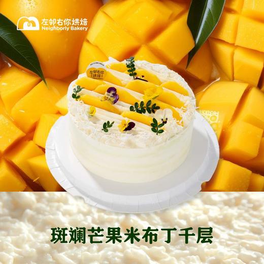 斑斓芒果米布丁千层 商品图0