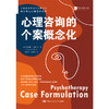 心理咨询的个案概念化 商品缩略图1