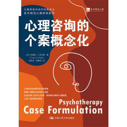 心理咨询的个案概念化 商品图1