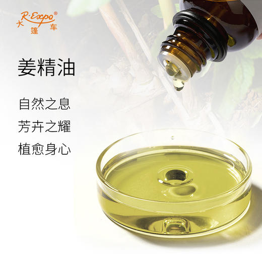 姜精油 印度单方精油原料批发芳疗护理调香香薰 大篷车精油 商品图1