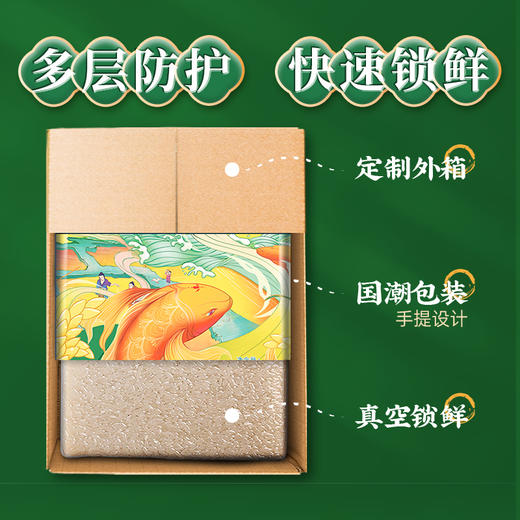 袁谷南国丝苗5kg南方大米丝滑爽口清香宜人籼米长粒香米共10斤装 商品图4